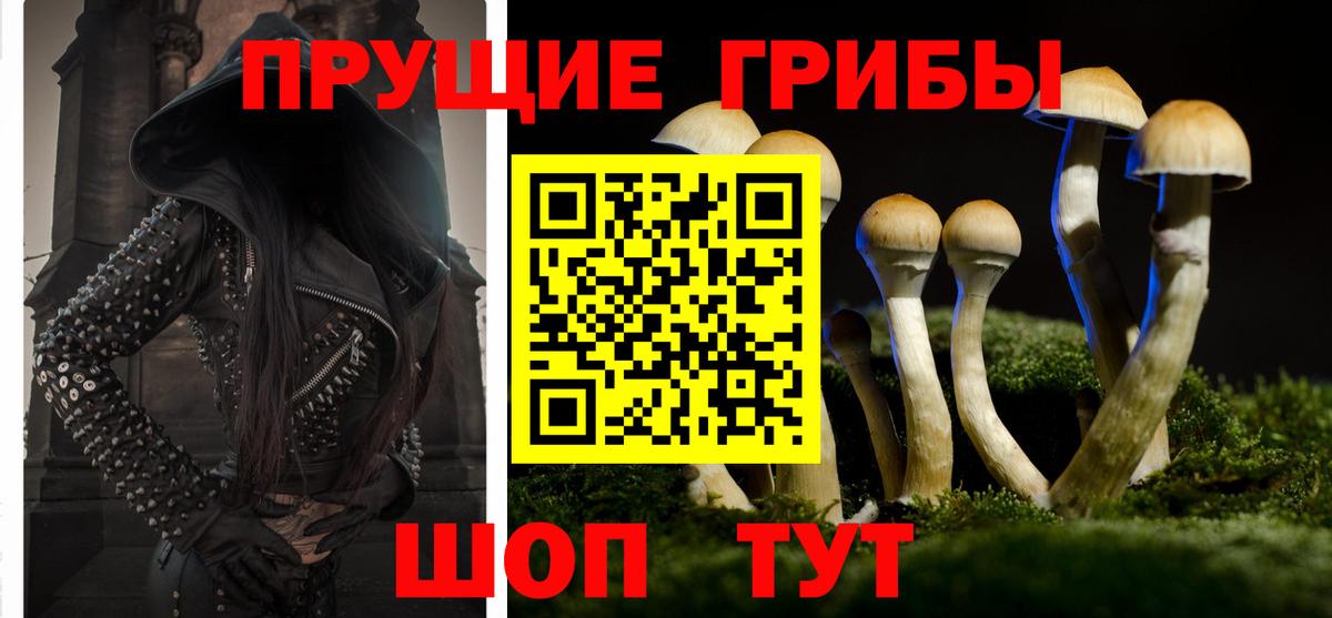 Тобольск  Псилоцибиновые грибы Cubensis  Вход с VPN  Псилоцибиновые грибы Psilocybe 